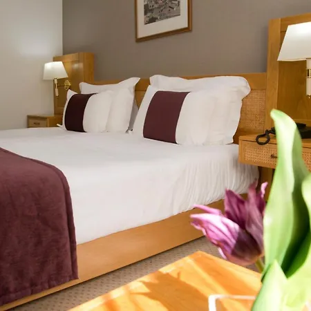 Hotel Rainha D. Amelia, Arts & Leisure-3